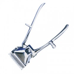 Scissors  Shears